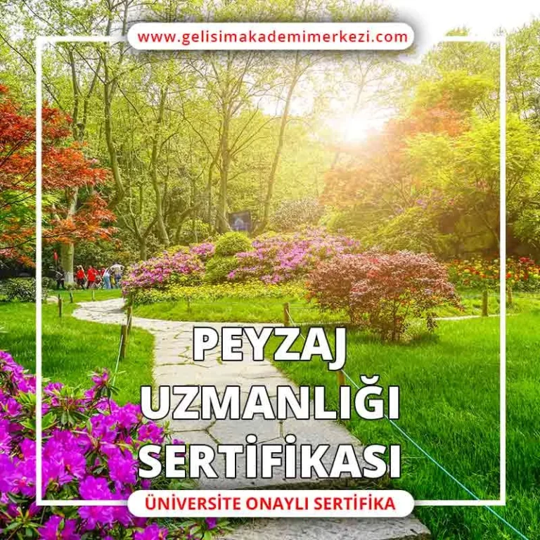 Peyzaj Ustalık Eğitimi Nedir?