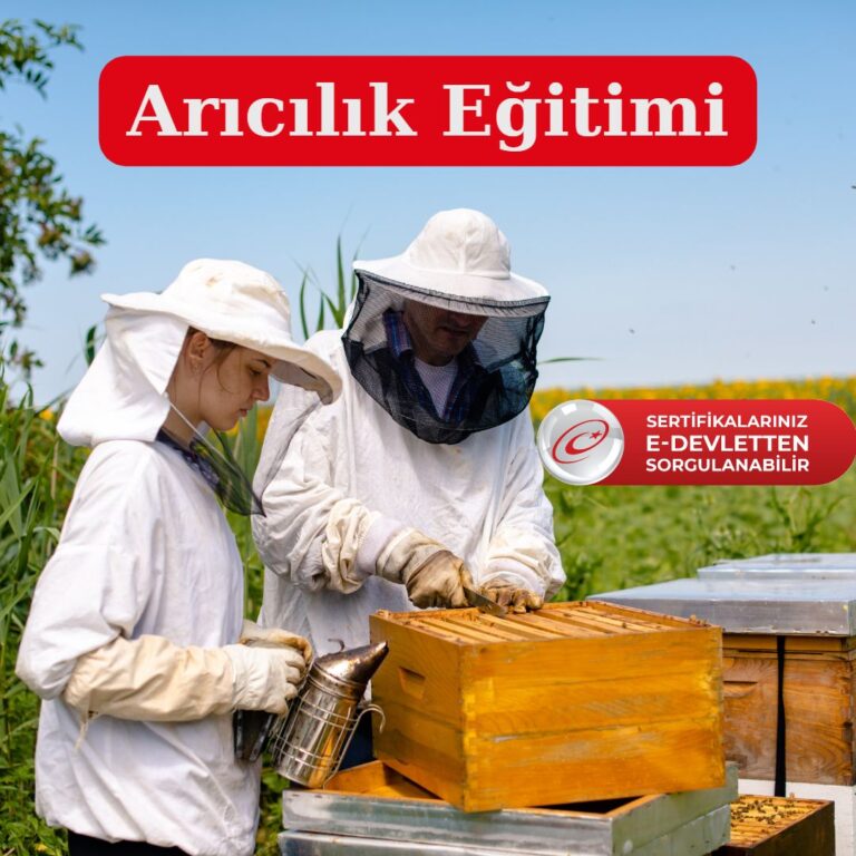 Arıcılık Ustalık Eğitimi Nedir?