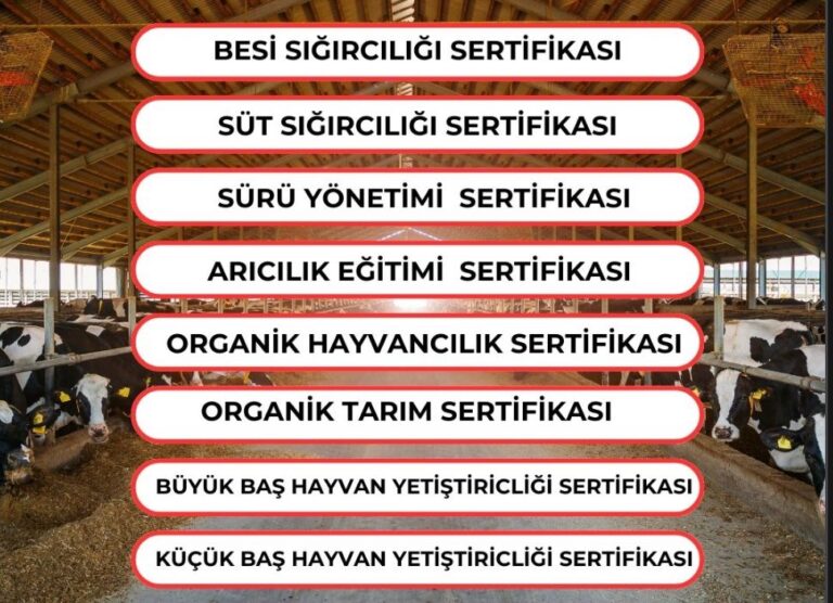 Hayvancılık ve Tarım Destek Projesi Nedir?