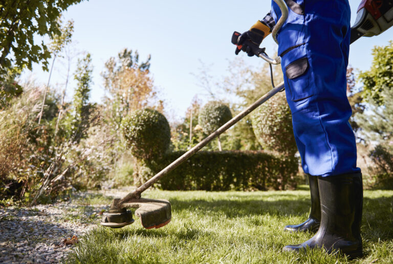🌿 Bahçe Bakımı ve Peyzaj Eğitimi: Sertifikalar ve Kariyer Olanakları 🌺🌳﻿
