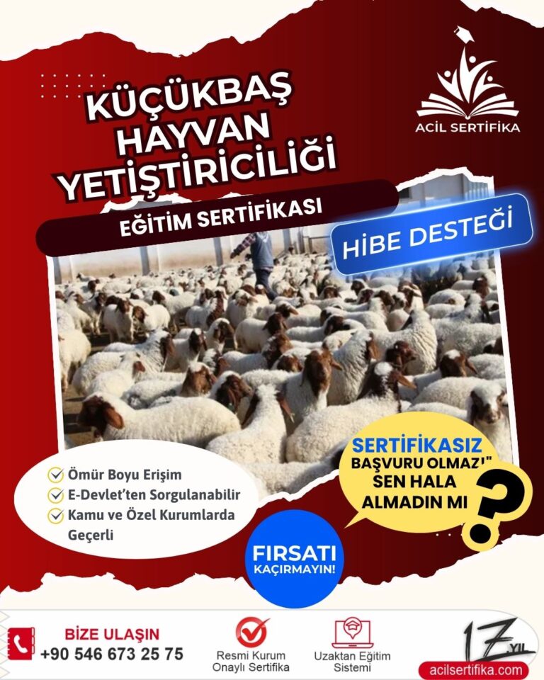 Küçükbaş Hayvan Yetiştiriciliği Nedir?