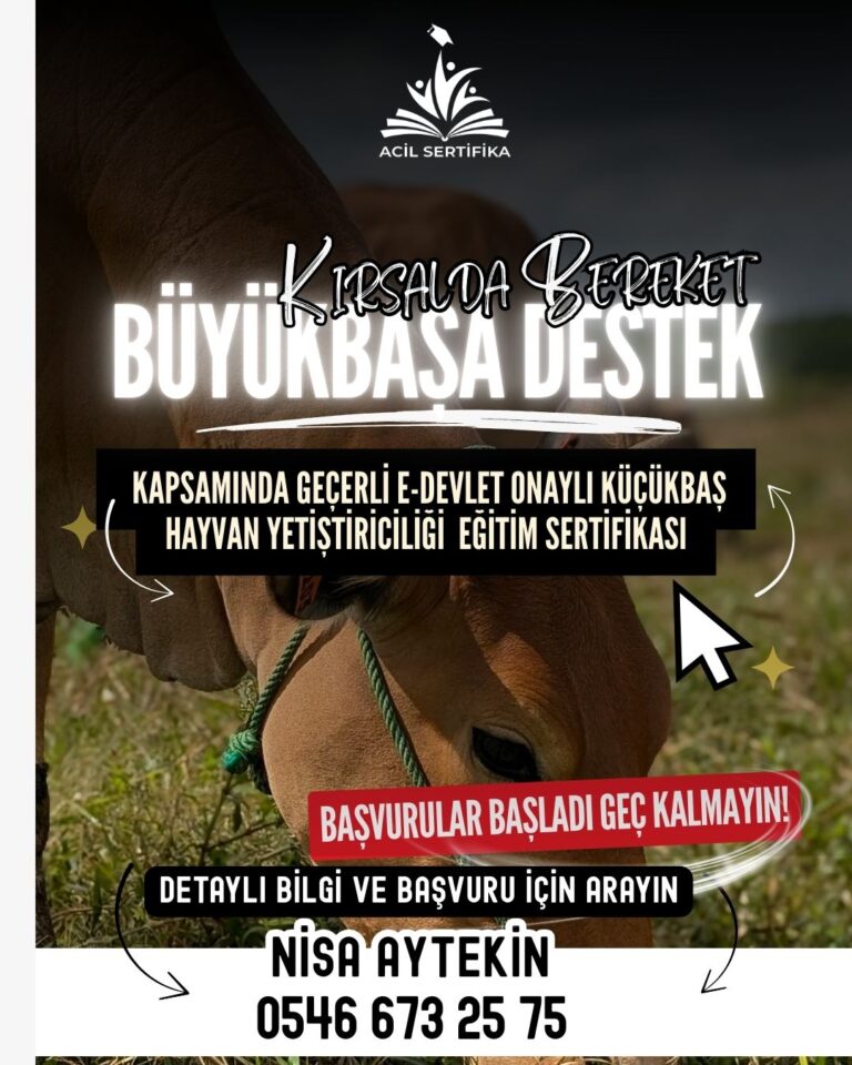 Küçükbaş Hayvan Yetiştiriciliği Sertifikası
